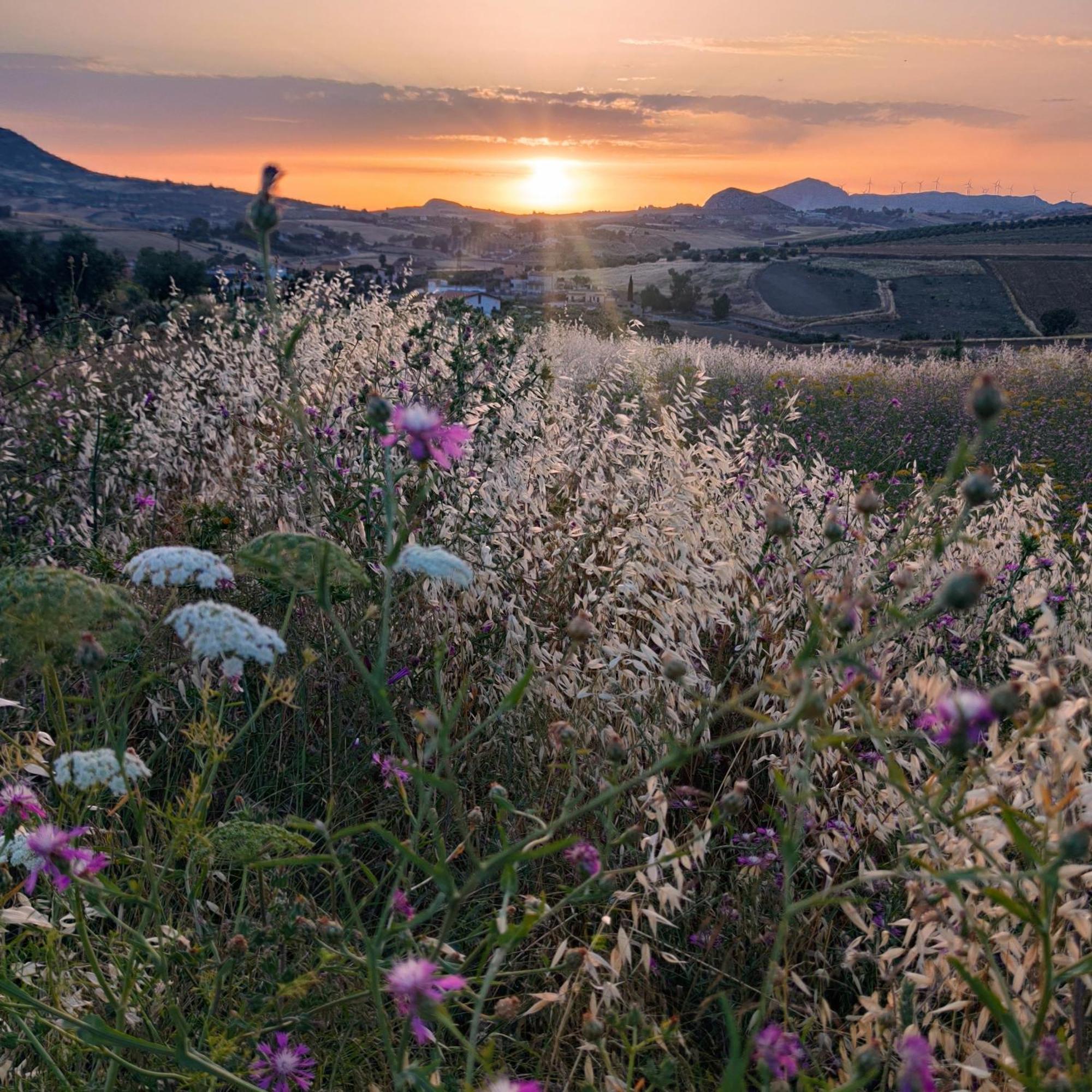 B&B Della Via Francigena อากริเจนโต ภายนอก รูปภาพ
