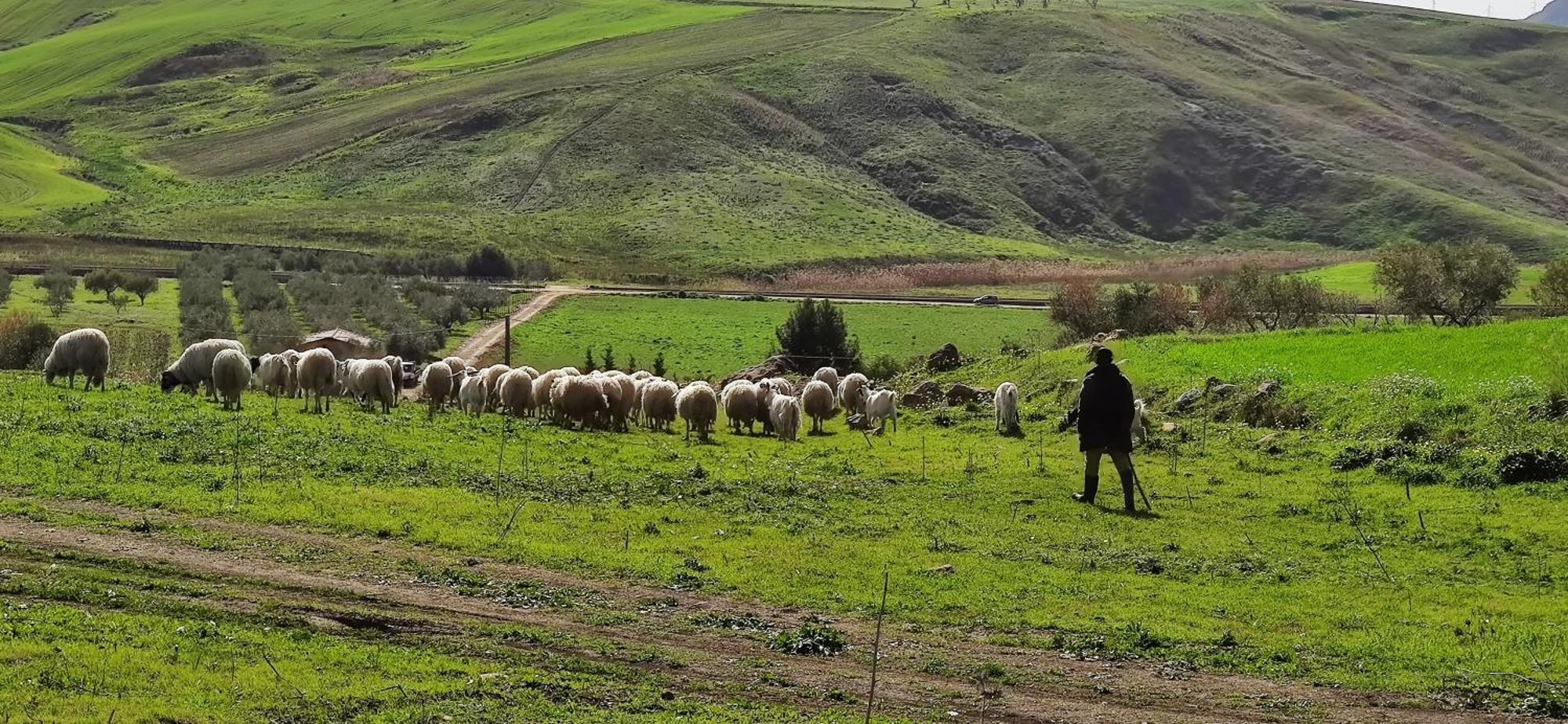 B&B Della Via Francigena อากริเจนโต ภายนอก รูปภาพ